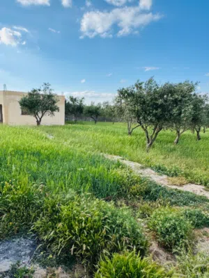 Mixed Use Land for Sale in Amman Naour