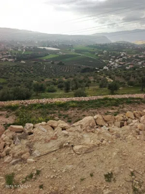 Farm Land for Sale in Salt Jala'd