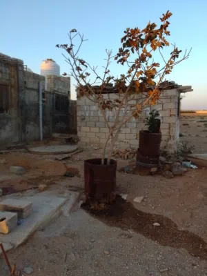 بيت ريفي للبيع