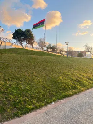عبدالمجيد 