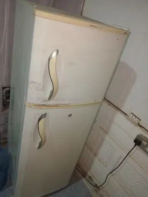 Medium size Fridge and Freezer