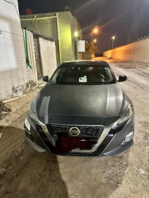 نسيان التيما 2022للبيع