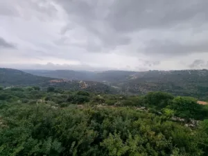 دونم-ارض-في-كفر-عين-مرتفع-باطلالة-غربية-ساحرة-مشروع-طابو