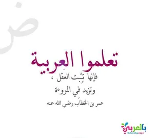 ‏دروس خصوصية ‏.‏ مدرس عربي‏1