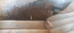 زينقو وحبيله للبيع
