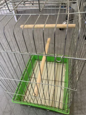 قفص ببغاء كاسكو