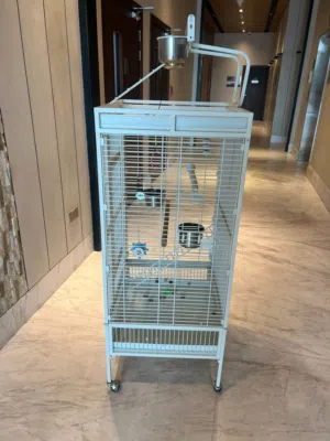 Parrot cage