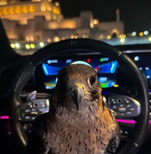 سالم الشبلي