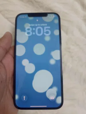 Apple iPhone 12 Pro Max 256 GB in Jerash