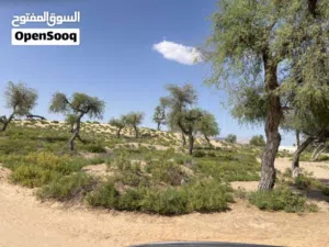 Residential Land for Sale in Al Sharqiya Jalan Bani buhassan
