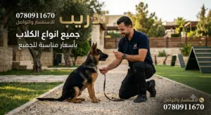 تدريب جميع انواع الكلاب باسعار مناسبه لجميع