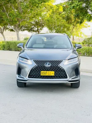 Used Lexus RX in Muscat