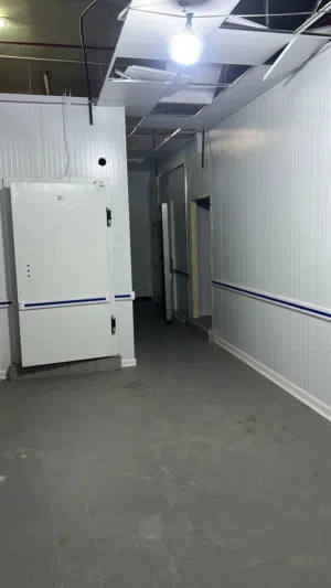 Basement in aridiya for rent