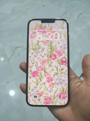 Apple iPhone 13 Pro Max 256 GB in Baghdad