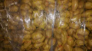 ‏خضار وفواكه‏0