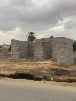 محمد العلواني