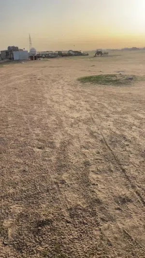Farm Land for Sale in Farwaniya Al-Shadadiya