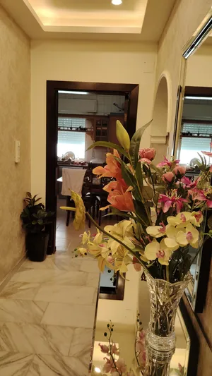 ‏أكثر من 6 غرف ‏.‏ ٣ حمّامات ‏.‏ 220 م٢‏3
