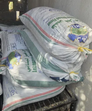 نفيعة للبيع قطف السنة  عبارة عن تمر نظيف جدآ وجواني كبار جدآ جدآ حتى يصلح للأكل الآدمي