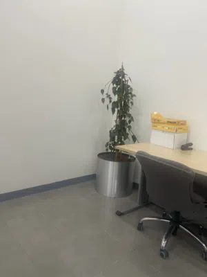 مشاركة سكن
