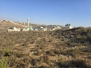 Residential . 700 m2 . Landlord1