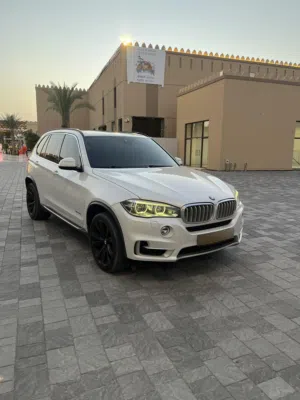 2014 Bmw X5 XDrive50i Mineral white on Mocha