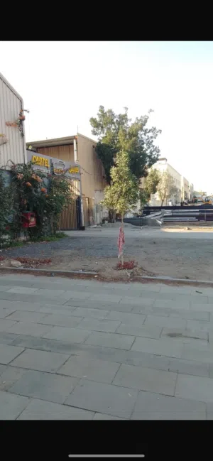 Rooms for rent in Musaffah للإيجار غرف في المصفح