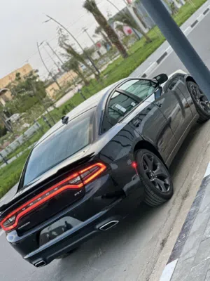 للبيع جارجر