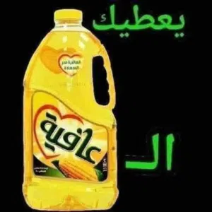 مطلوب بسكليت قياس 26
