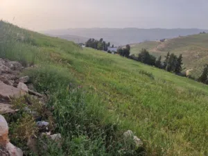 Farm Land for Sale in Jerash Tal Al-Rumman