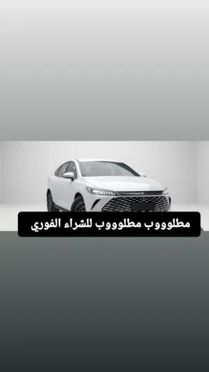 مطلوووب مطلوووب BYD للشراء الفوري