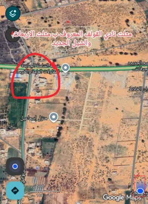ارض للبيع في سريع وادي الربيع بير التوتة
