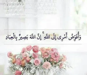 غدير 