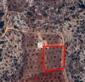 قطعة ارض للبيع في جنين