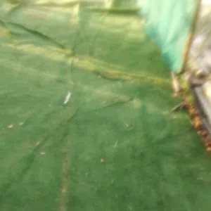 md Aziz UL    hopue 
