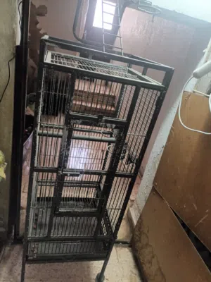 قفص للببغاء