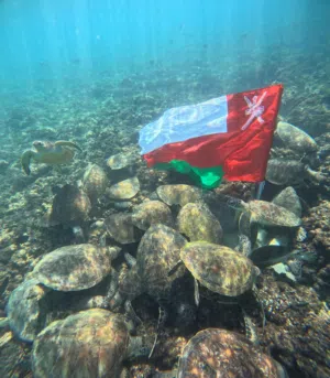 Scuba Diving @ Damaniyat Island