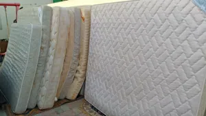 مرتبه او دواشج سعر جمله