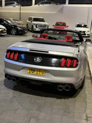موستنج كشف رياضي