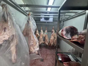 للبيع ملحمة مع الرخصة والمعدات  في عجمان النعيمية 2 شارع الملك Butcher shop for sale with license an