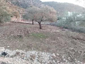 Residential Land for Sale in Ajloun Kuforanja