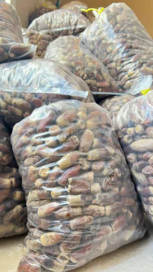 بيع تمر النغال العماني طازج ....