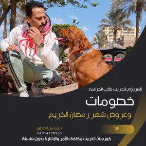 مدرب كلاب حراسة متخصص تدريب الكلاب بالاشارة