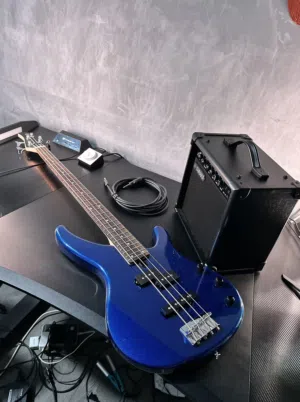 Bass electric guitar
