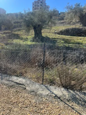 Mixed Use . 750 m2 . Landlord1