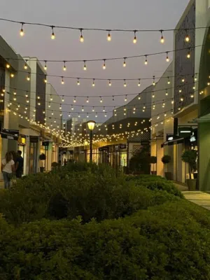 عدد اتنين اسراب ضي