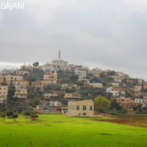 صالح العبادي 