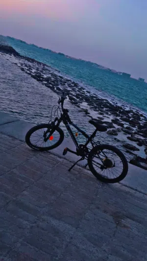 excellent condition I will buy Saudi Arabia cycle brand book Rider made in Thailand asking price.30
