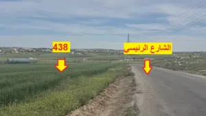 Farm Land for Sale in Madaba Mai'n
