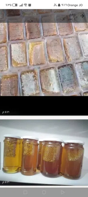 عسل حمضيات مكفول وشوكيات